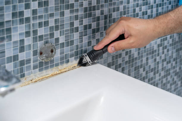 Best Mold Damage Repair  in Price, UT